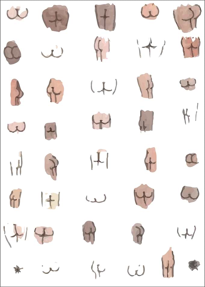 Buttocks