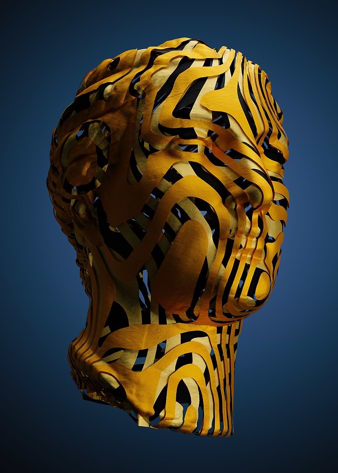 ZEBRA FACE