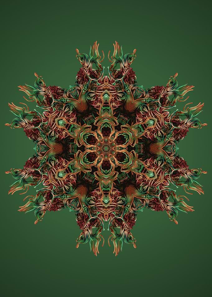 Mandala 38