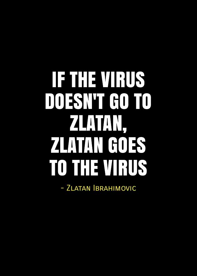 quotes ibrahimovic
