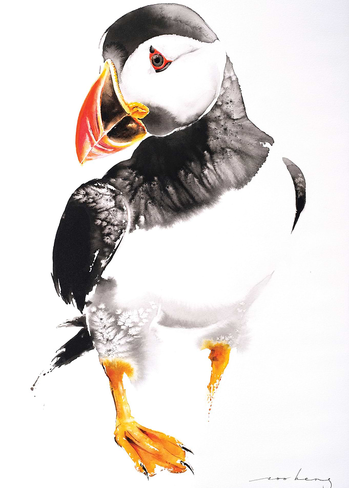 Puffin3