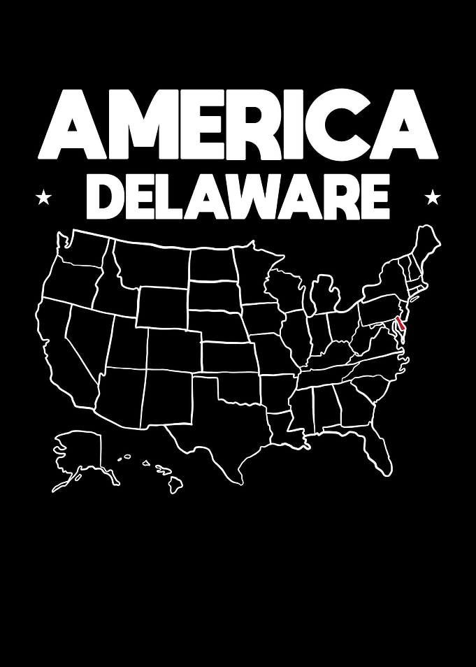 USA gift Delaware State
