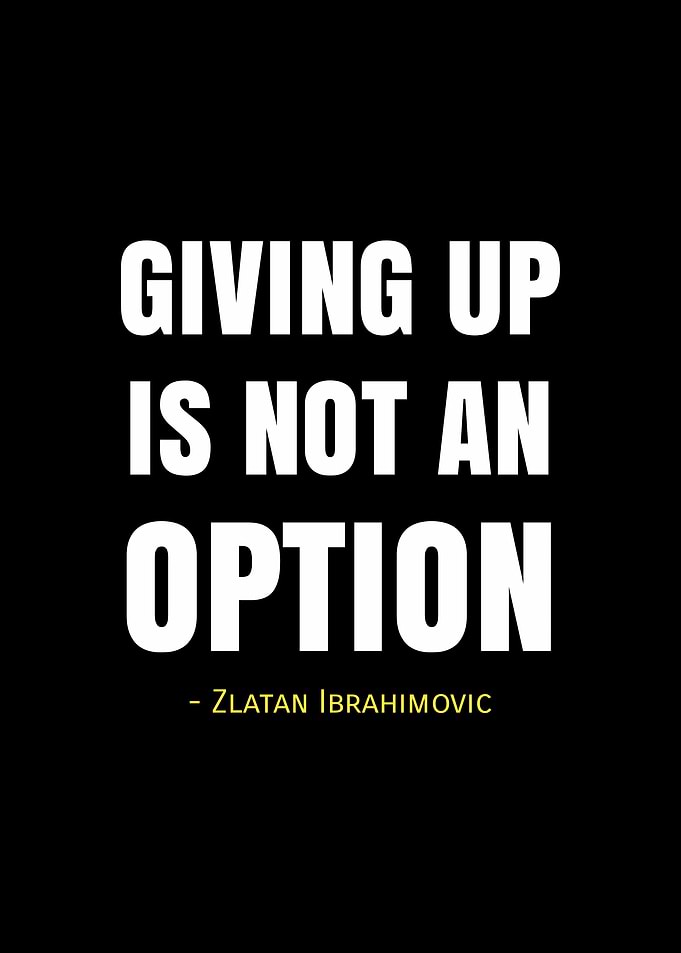 ibrahimovic quotes