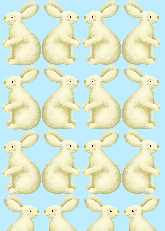 Rabbit