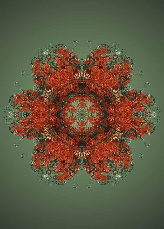Mandala 36