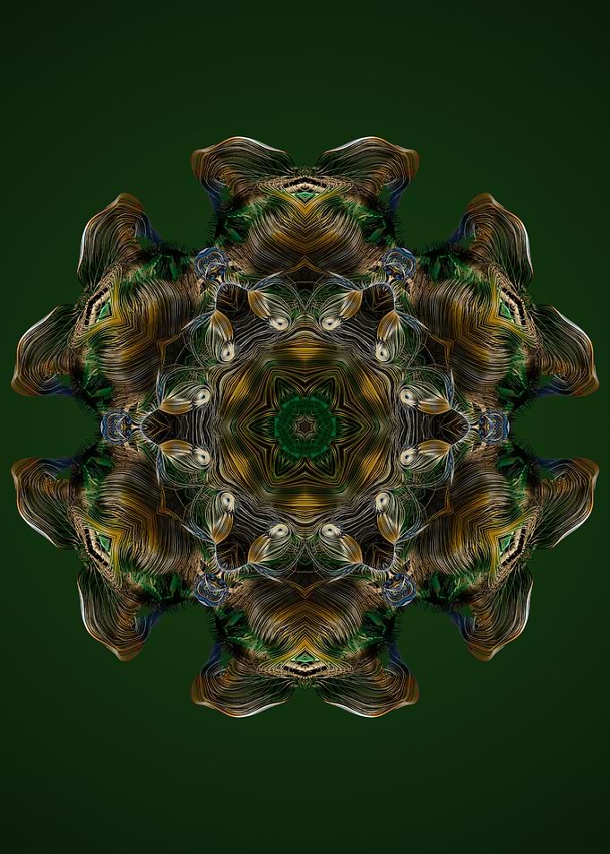 Mandala 33