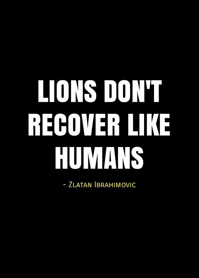 ibrahimovic quotes