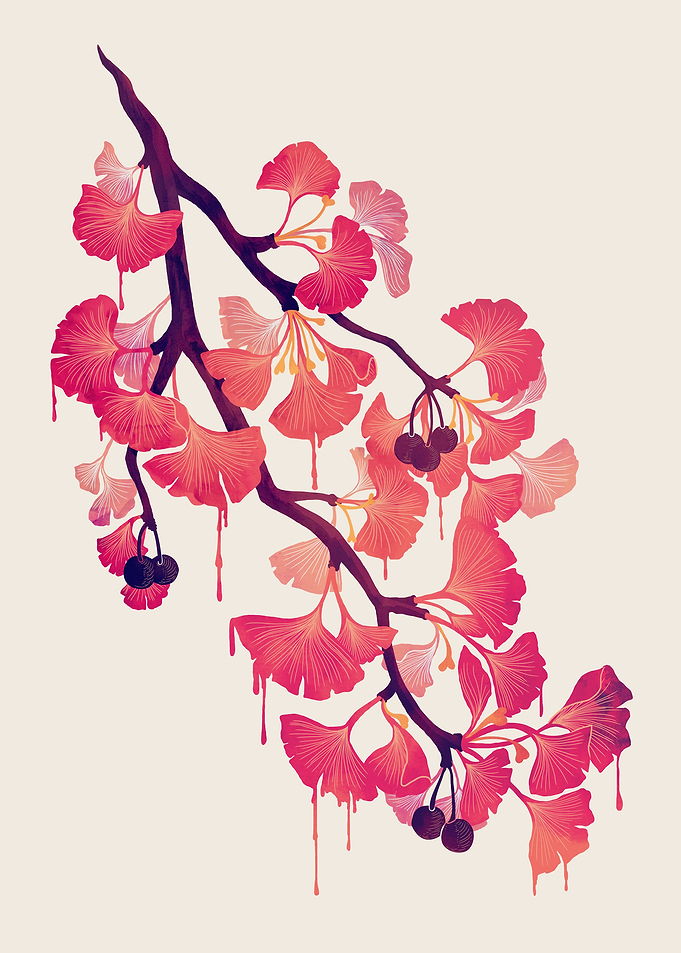 O Ginkgo