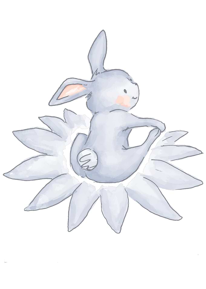 Cute bunny