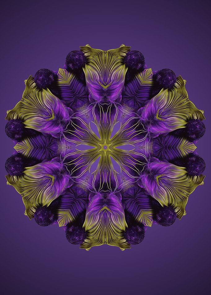 Mandala 35