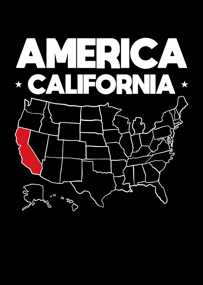 USA gift California State