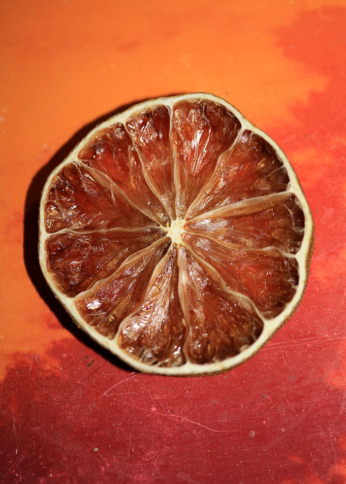 Dried lime slice close up