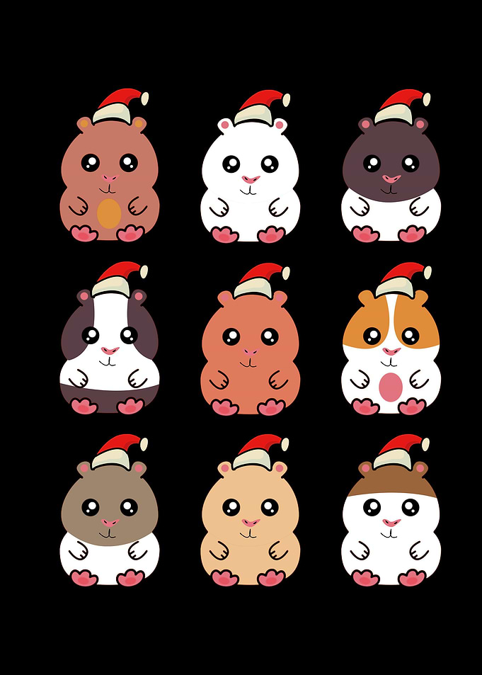Guinea Pigs Lover Gift