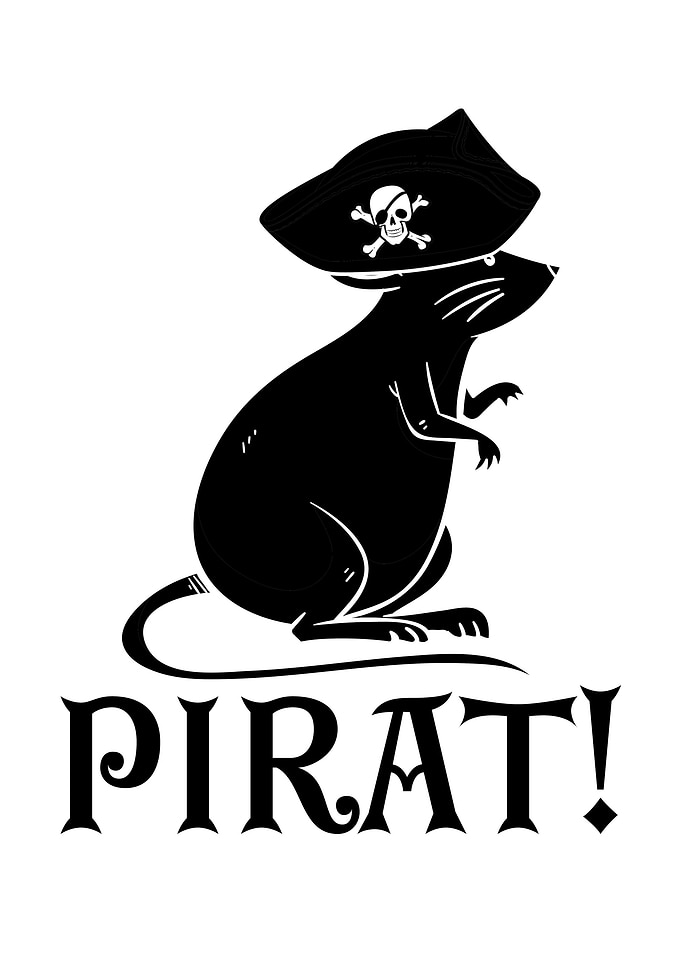 Rats Pirate Pet Gift