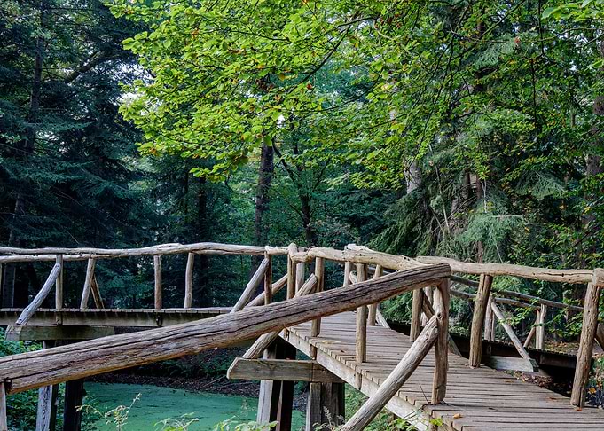 Wooden bridge