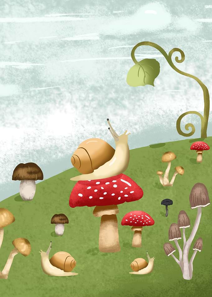 Snail