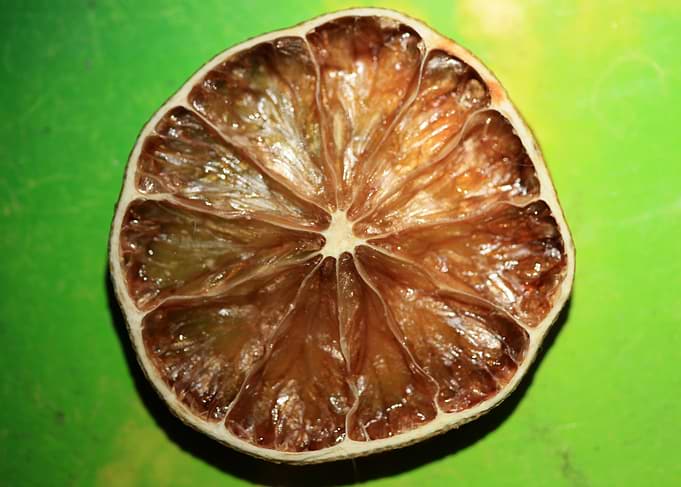 Dried lime slice close up