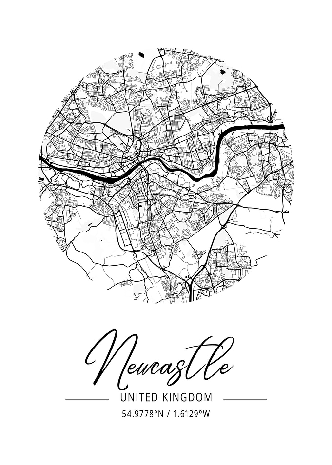 Newcastle Area City Map