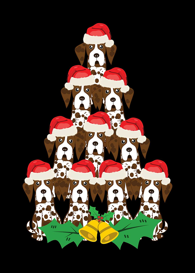 German Shorthaired Pointer