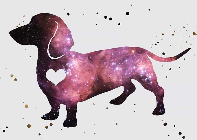 Dachshund Nebula