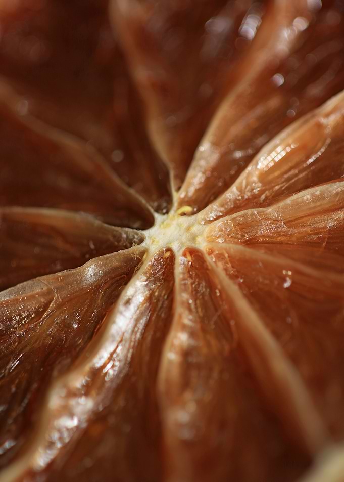 Dry lime fruit slice macro