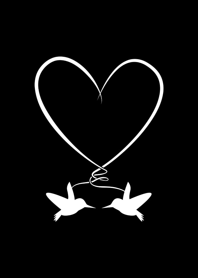 Birding Hummingbirds Heart