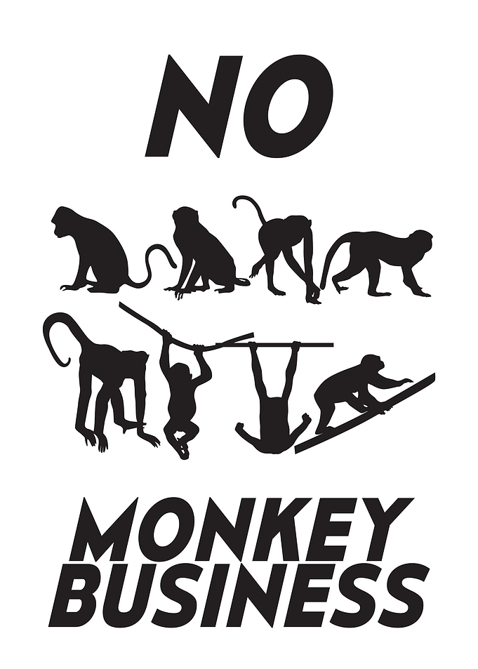 NO MONKEY BUSINESS 8