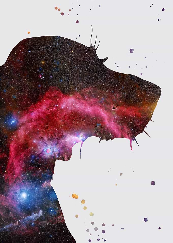 Setter Nebula