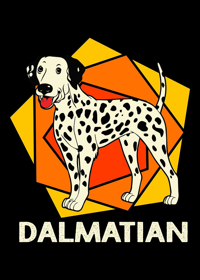 Dalmatian Colorful Dog