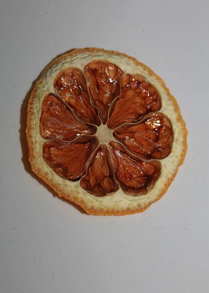 Dried lemon slice macro