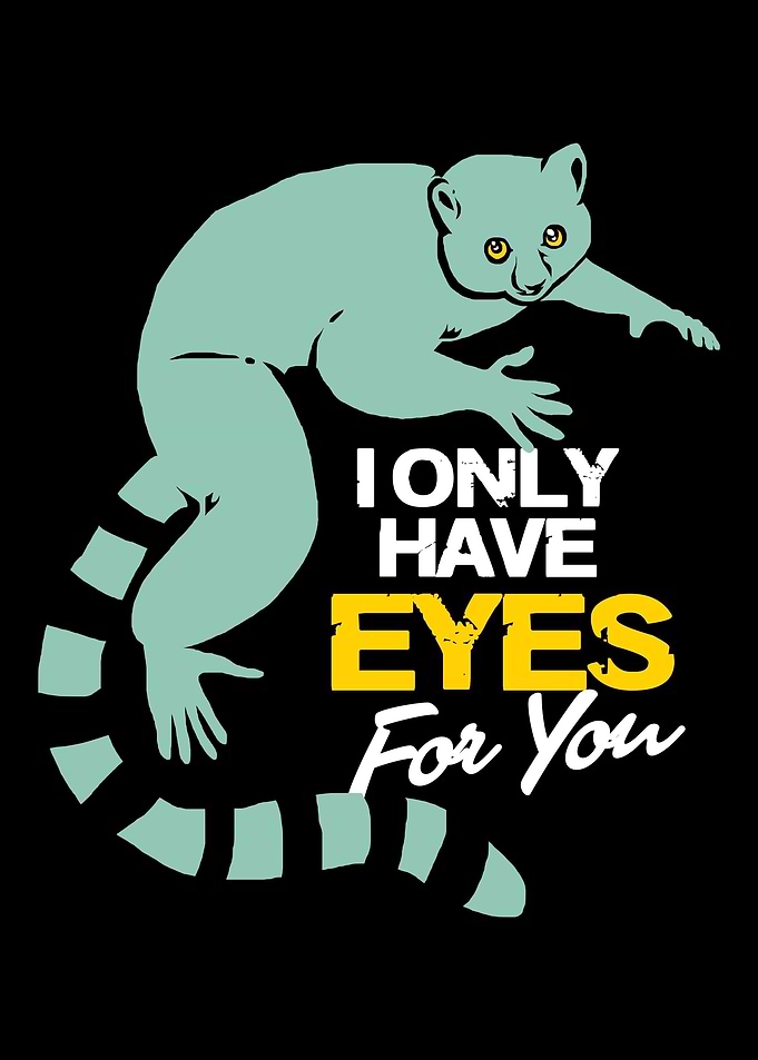 Lemur Funny Monkey