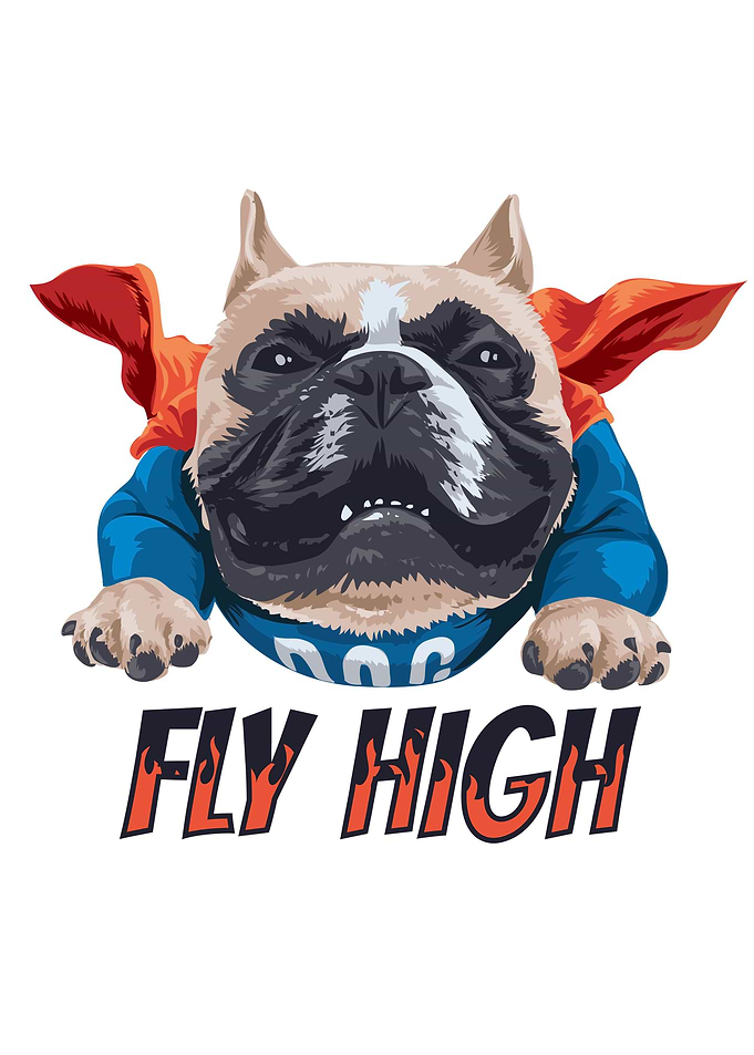Pug dog