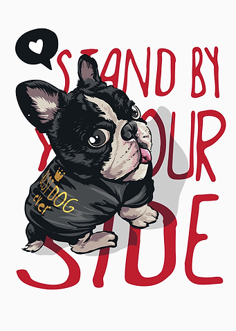 Pug dog