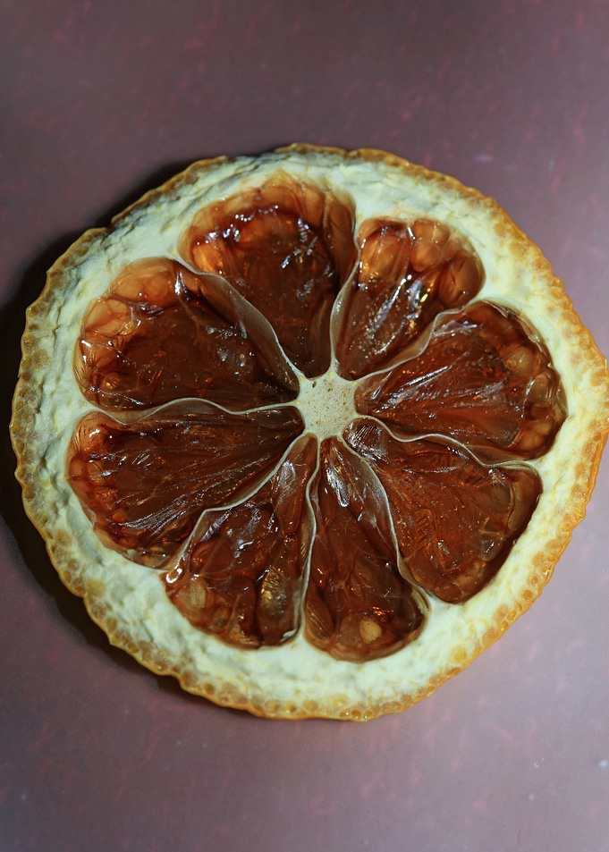 Dried lemon slice macro
