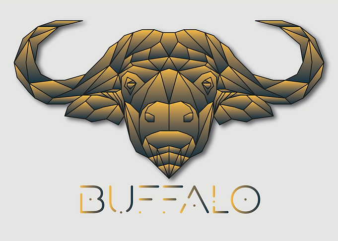 Buffalo White Geometric