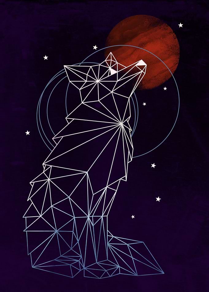 Fox in the Stars