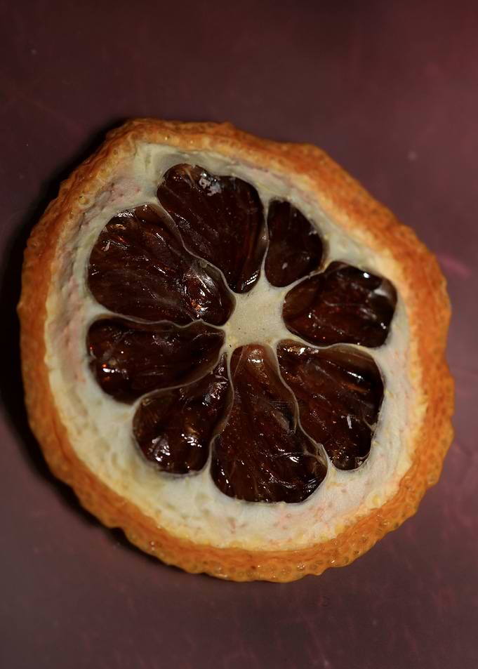 Dried lemon slice macro