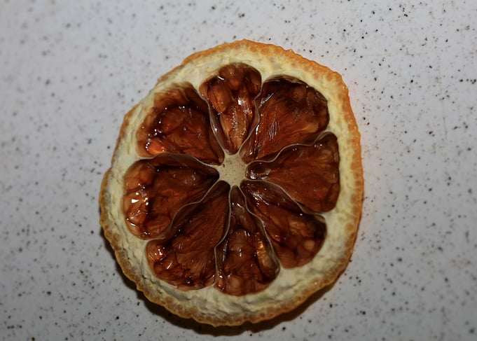 Dried lemon slice macro