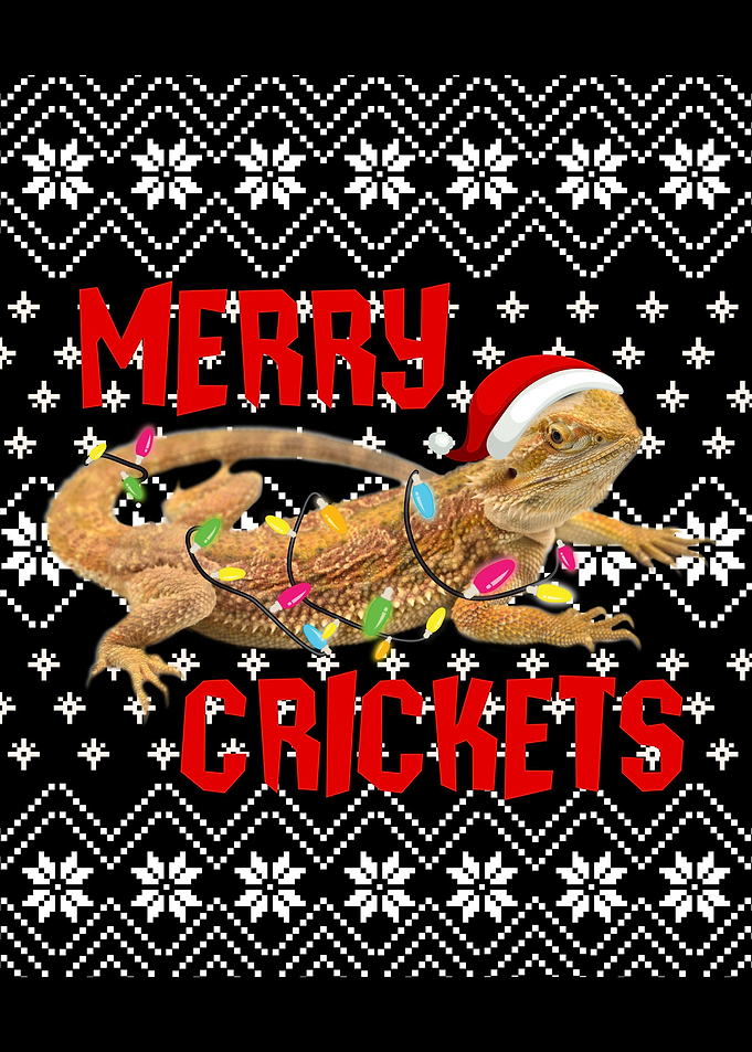 Bearded Dragon Funny
