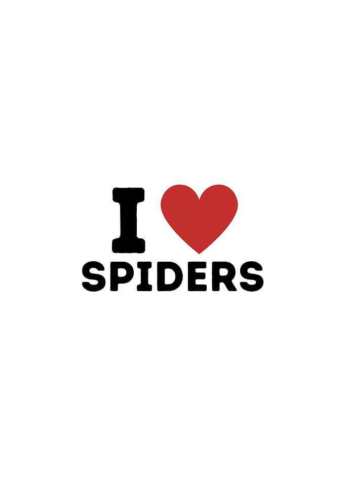 I Love Spiders Simple