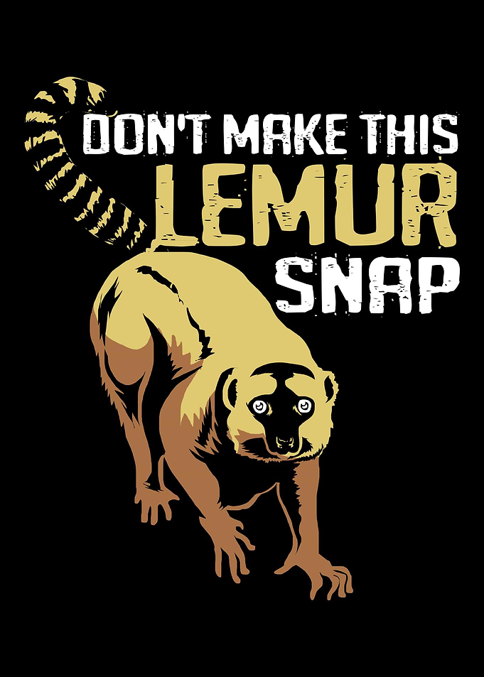Lemur Funny Monkey