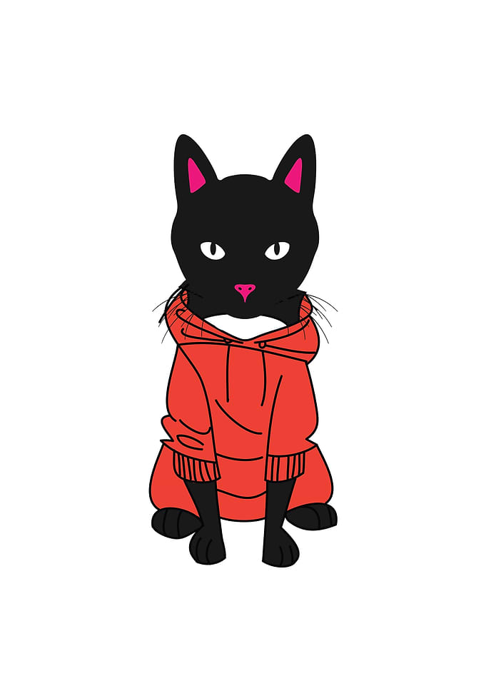 Cat In A Hood