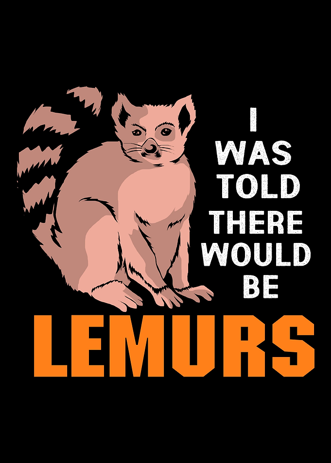 Lemur Funny Monkey