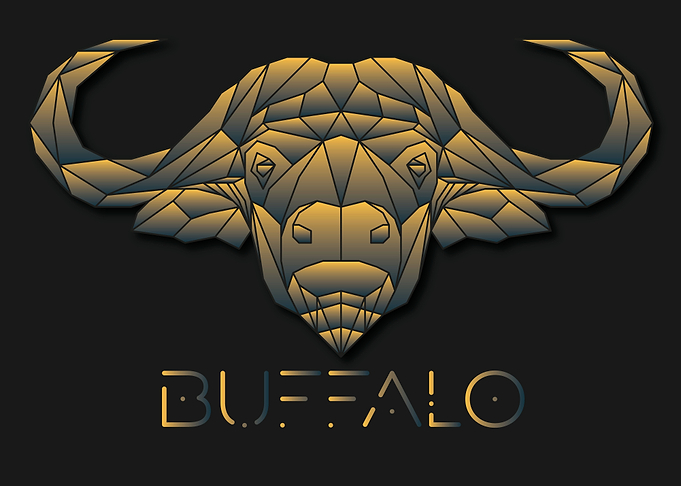 Buffalo Black Geometric
