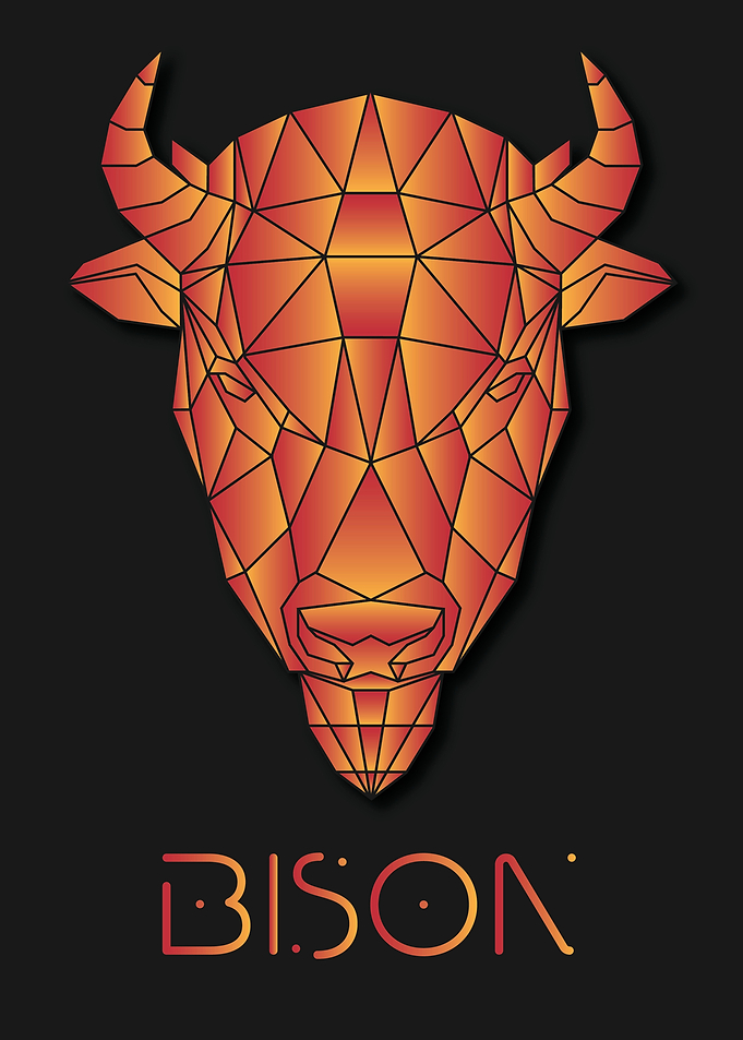 Bison Black Geometric Art