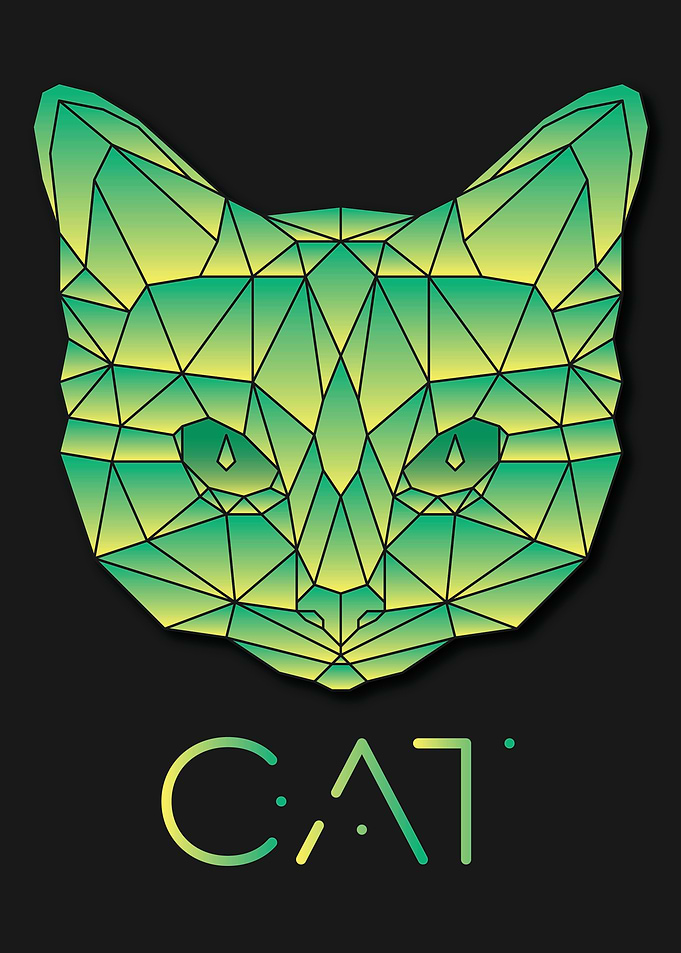 Cat Black Geometric Poster