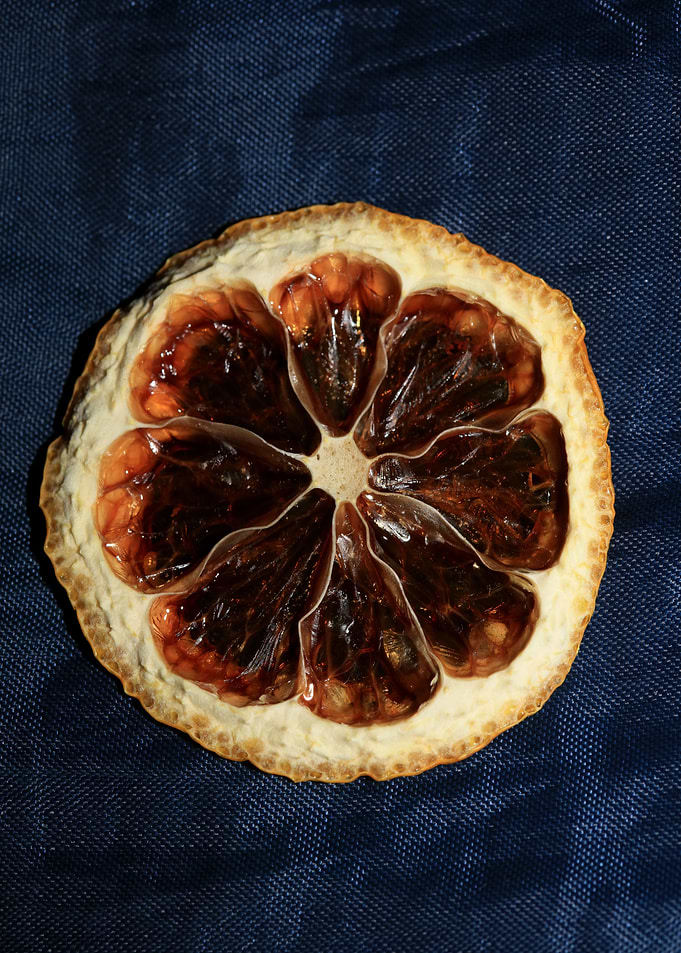 Dried lemon slice macro