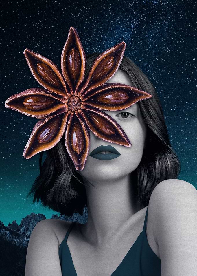 Stars fairy