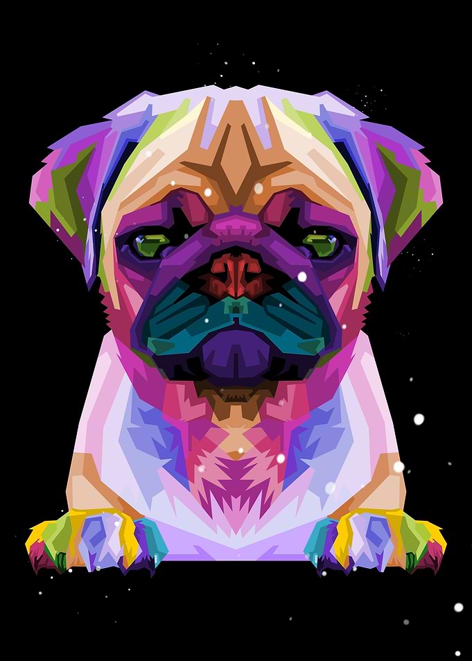 Pug dog