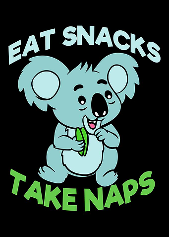 Koala Eat Snacks Take Nap